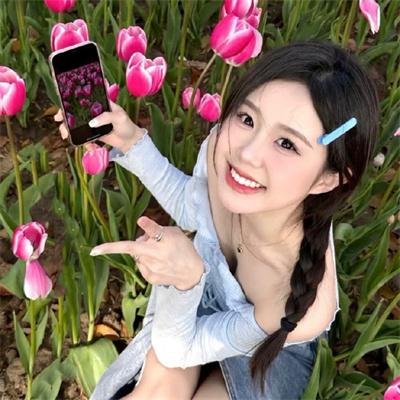 高山上的热气球 封面
