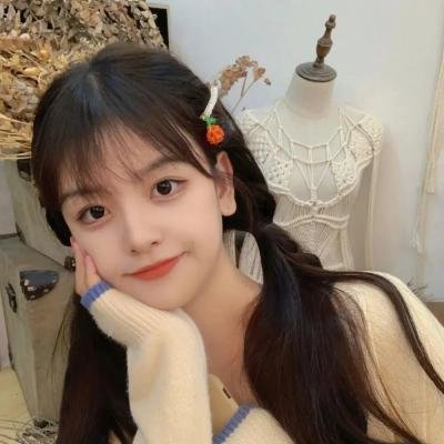 波河的人们 封面